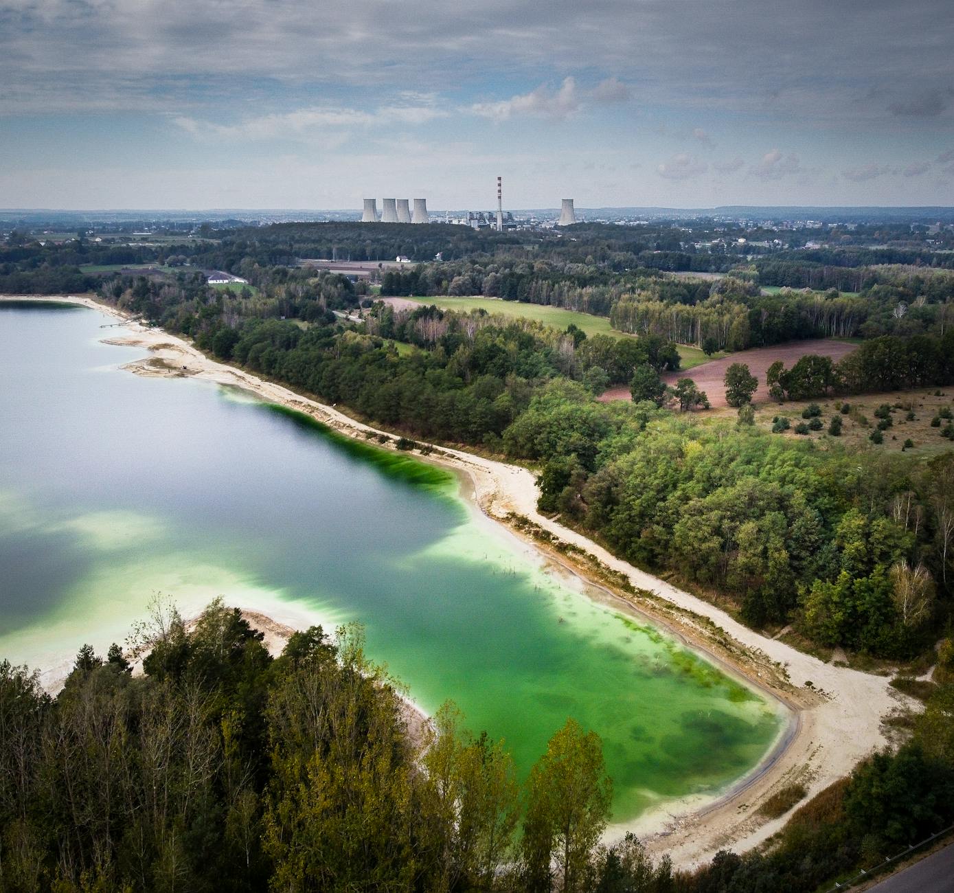 Mieszkańcy Zielonki biorący udział w akcji sprzątania terenów zielonych z okazji Dnia Ziemi.